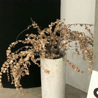 兽设海洋元素设计Furry群